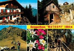 72795615 Dorf Tirol Naturpark Texelgruppe Berggasthaus Mutkopf Bergwandern Alpen - Sonstige & Ohne Zuordnung