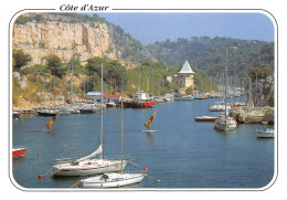 13-CASSIS PORT MIOU-N°4181-B/0011 - Cassis