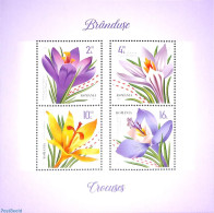 Romania 2022 Crocuses S/s, Mint NH, Nature - Flowers & Plants - Unused Stamps