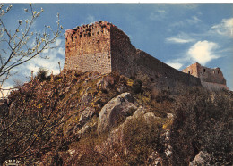 09-MONTSEGUR LE CHATEAU-N°4181-A/0267 - Andere & Zonder Classificatie