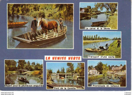 79 LA VENISE VERTE N°109 En 1972 Canal Sèvre Pont De La Garette Pêche Aux Anguilles Transport De Vache Et Cheval - Sonstige & Ohne Zuordnung