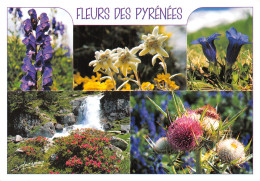 30-LES PYRENEES FLEURS-N°4181-C/0141 - Sonstige & Ohne Zuordnung