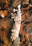 34-GROTTE DES DEMOISELLES-N°4181-C/0081 - Sonstige & Ohne Zuordnung