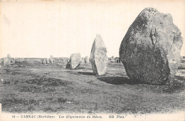 56-CARNAC-N°LP5130-H/0145 - Carnac