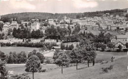 43-CHAMBON SUR LIGNON-N°LP5130-H/0065 - Autres & Non Classés