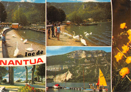 01-NANTUA LE LAC-N°4182-C/0255 - Nantua