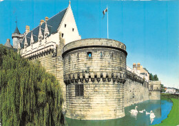 44-NANTES LE CHATEAU DE DUCS DE BRETAGNE-N°4182-C/0071 - Nantes