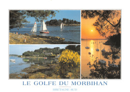 56-LE GOLFE DU MORBIHAN-N°4182-B/0379 - Other & Unclassified