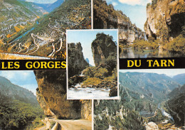 48-LES GORGES DU TARN-N°4182-B/0167 - Andere & Zonder Classificatie