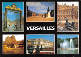 78-VERSAILLES LE CHATEAU-N°4182-A/0335 - Versailles (Château)