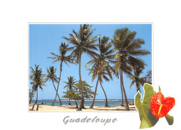 971-GUADELOUPE SAINTE ANNE-N°4182-A/0217 - Other & Unclassified