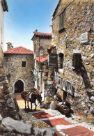 06-EZE VILLAGE-N°4182-A/0181 - Eze