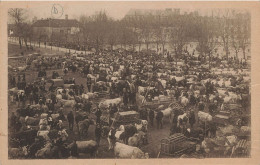 D9293 Chalon Sur Saône La Place Mathias Au Temps Des Vaches Grasses - Chalon Sur Saone