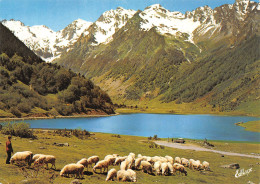 65-LE COL D AUBISQUE-N°4183-A/0263 - Sonstige & Ohne Zuordnung