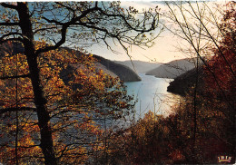 19-LES GORGES DE LA DORDOGNE-N°4183-A/0227 - Sonstige & Ohne Zuordnung