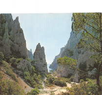 13-CALANQUES D EN VAU-N°4183-A/0223 - Altri & Non Classificati