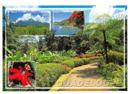 971-GUADELOUPE DOMAINE DE VALOMBREUSE-N°4183-A/0179 - Sonstige & Ohne Zuordnung