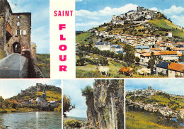 15-SAINT FLOUR-N°4183-A/0015 - Saint Flour