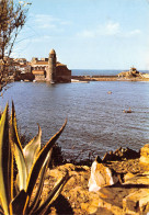 66-COLLIOURE-N°4182-D/0351 - Collioure