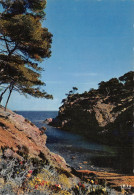 13-LA COTE D AZUR CALANQUE-N°4182-D/0121 - Andere & Zonder Classificatie