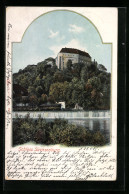 Lithographie Frankenberg I. Sa., Blick Hinauf Zum Schloss Sachsenburg  - Frankenberg