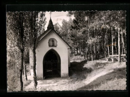 AK Klotten An Der Mosel, An Der Kleinen Kapelle  - Sonstige & Ohne Zuordnung