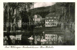 72794755 Bad Wildungen Reinhardshausen Haus Hubertus Schwaene Albertshausen - Bad Wildungen