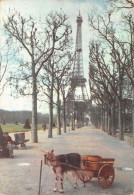 75-PARIS LA TOUR EIFFEL-N°4183-D/0243 - Tour Eiffel