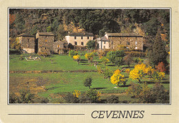 30-MASSIF DES CEVENNES-N°4183-D/0237 - Sonstige & Ohne Zuordnung