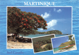 972-MARTINIQUE PETITE ANSE D ARLET-N°4183-D/0015 - Other & Unclassified