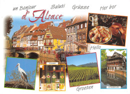 68-ALSACE-N°4183-C/0281 - Andere & Zonder Classificatie