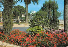 83-SAINTE MAXIME-N°4183-C/0059 - Sainte-Maxime