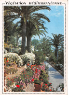 06-MEDITERRANEE-N°4183-C/0017 - Andere & Zonder Classificatie