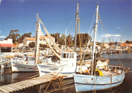 83-HYERES LES PALMIERS-N°4184-C/0127 - Hyeres