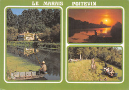 79-LE MARAIS POITEVIN-N°4184-B/0319 - Altri & Non Classificati