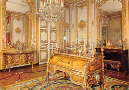 78-VERSAILLES LE CHATEAU-N°4184-B/0285 - Versailles (Château)