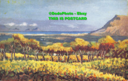 R355411 False Bay From Groot Constantia. Hortors. Postcard - World