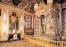 78-VERSAILLES LE CHATEAU-N°4184-A/0169 - Versailles (Château)