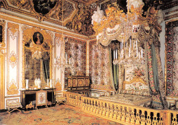 78-VERSAILLES LE CHATEAU-N°4184-A/0169 - Versailles (Kasteel)