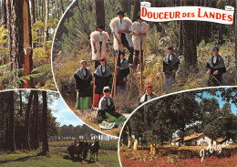 40-LES LANDES-N°4184-A/0103 - Other & Unclassified