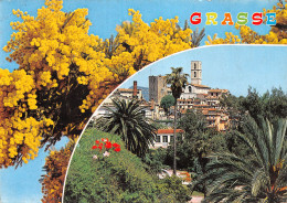 06-GRASSE-N°4183-D/0367 - Grasse