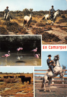 13-EN CAMARGUE-N°4183-D/0347 - Andere & Zonder Classificatie