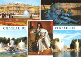 78-VERSAILLES LE CHATEAU-N°4185-A/0355 - Versailles (Kasteel)