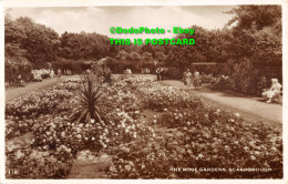 R355447 Scarborough. The Rose Gardens. RP. Postcard. 1956 - World