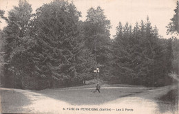 72-FORET DE PERSEIGNE-N°LP5132-A/0185 - Autres & Non Classés