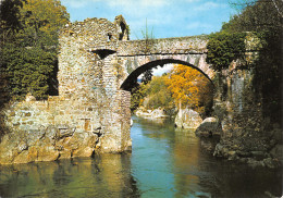 34-LE PONT DU DIABLE-N°4185-A/0261 - Sonstige & Ohne Zuordnung