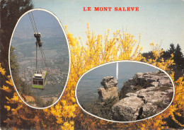 74-LE MONT SALEVE-N°4184-C/0361 - Andere & Zonder Classificatie