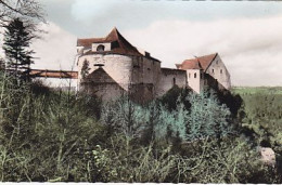 AK 211574 GERMANY -  Burg Wildenstein Im Donautal - Altri & Non Classificati