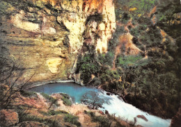 84-FONTAINE DE VAUCLUSE-N°4185-D/0009 - Altri & Non Classificati