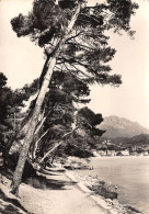 06-LE CAP MARTIN-N°4185-C/0399 - Sonstige & Ohne Zuordnung